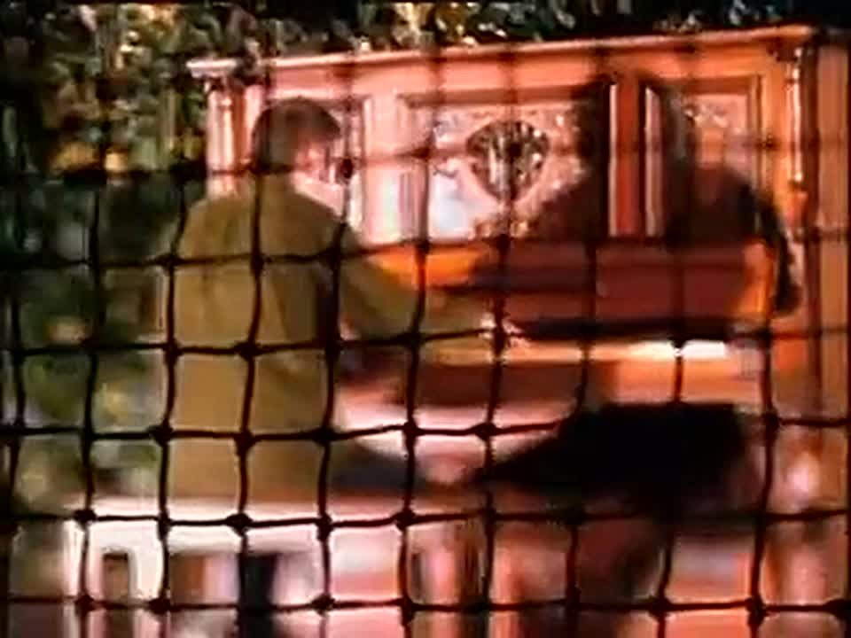 Вечернее музыкальное настроение от ЛенТВ24