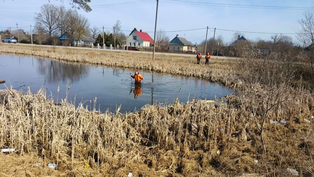 В водоеме Волосовского района нашли тело пропавшего без вести мужчины В водоеме Волосовского района нашли тело пропавшего без вести мужчины
