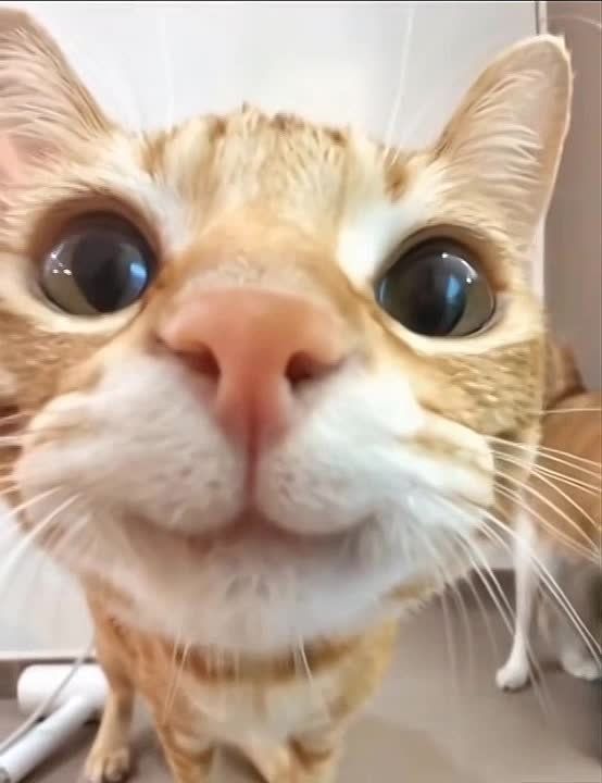 � �� ���, �� ���������� ���? ������! ������ ��������, ����� ����!
