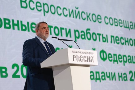 Прозрачное ценообразование на древесину — эффективный механизм пополнения государственного бюджета