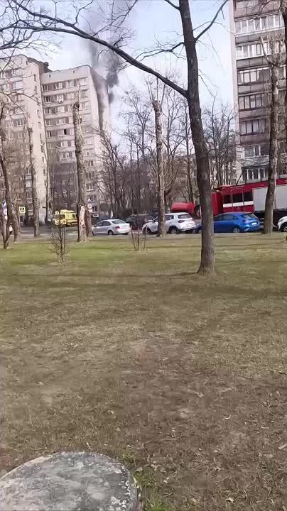 �� �������� ���������, 28 �������� �����