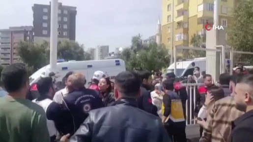 ���� ���������, ���������� � ����