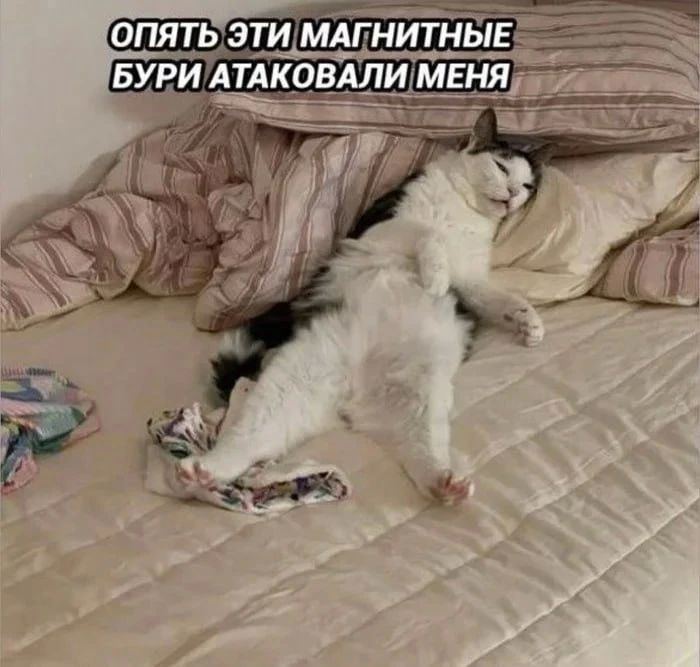 ������ ����� �������� ��������� ���� � �������� ������ �� ����� � ��������
