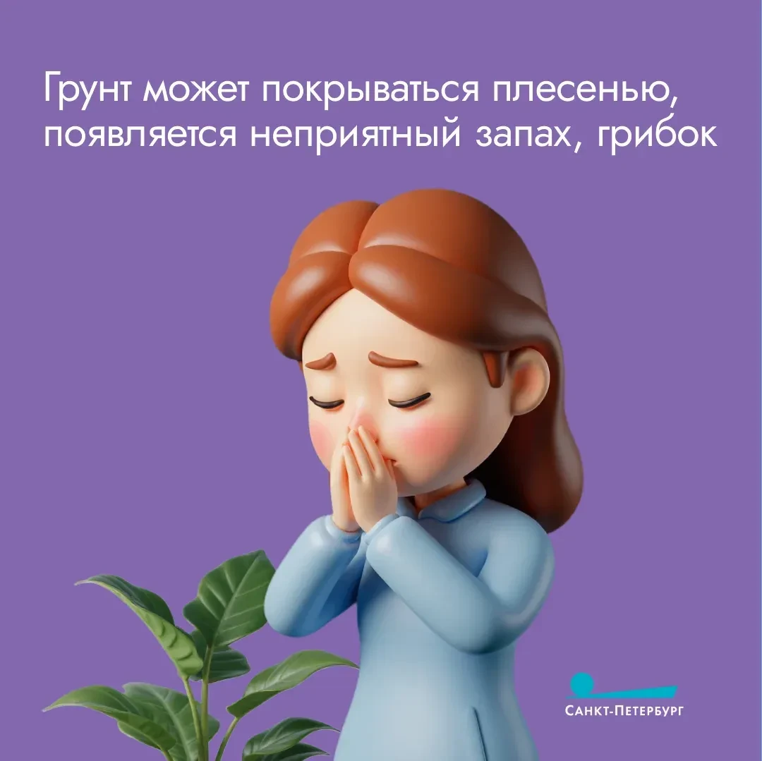 Смело можно сказать, что весна уже расцвела на наших с вами подоконниках Смело можно сказать, что весна уже расцвела на наших с вами подоконниках