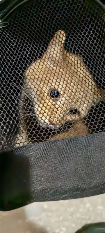 � ���������� ��������� ����� � ������� ����, �������� ������� ������� �� ���� �����
