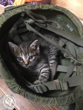 ��� ������: ������� ������ �������