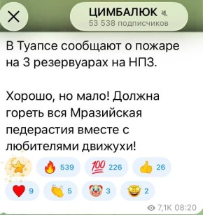 Юлия Витязева: В результате украинской атаки на Туапсе погибли двое детей
