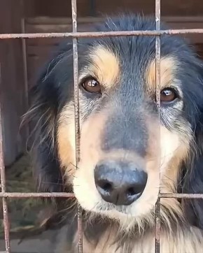 Малек Дудаков: ПРИЮТ «КИРЮШКА» В ШАГЕ ОТ ПРОПАСТИ