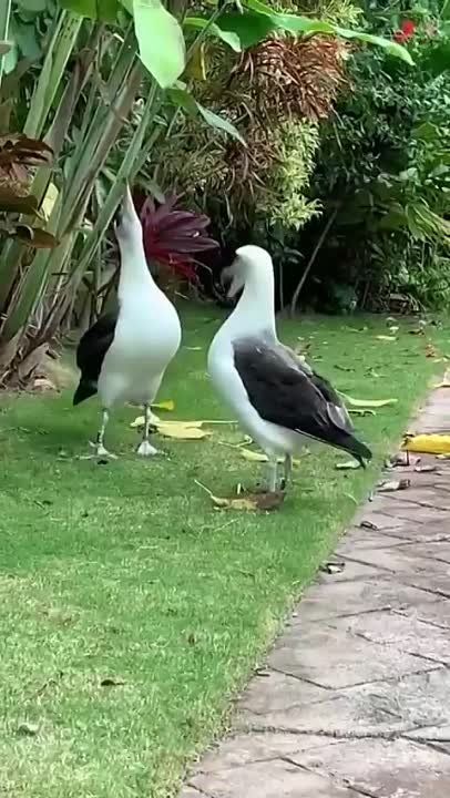 ����������� ����������� ��������� ����� �������� ��������� ����� ������