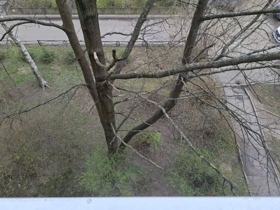 ����������� ������������ ������ �. �����-���������� ������������� ��� ������� � �������������� ������� ����������� ������� �� ���� ��������, ������������� �� 4 ����� � ���� �� ��. ��������
