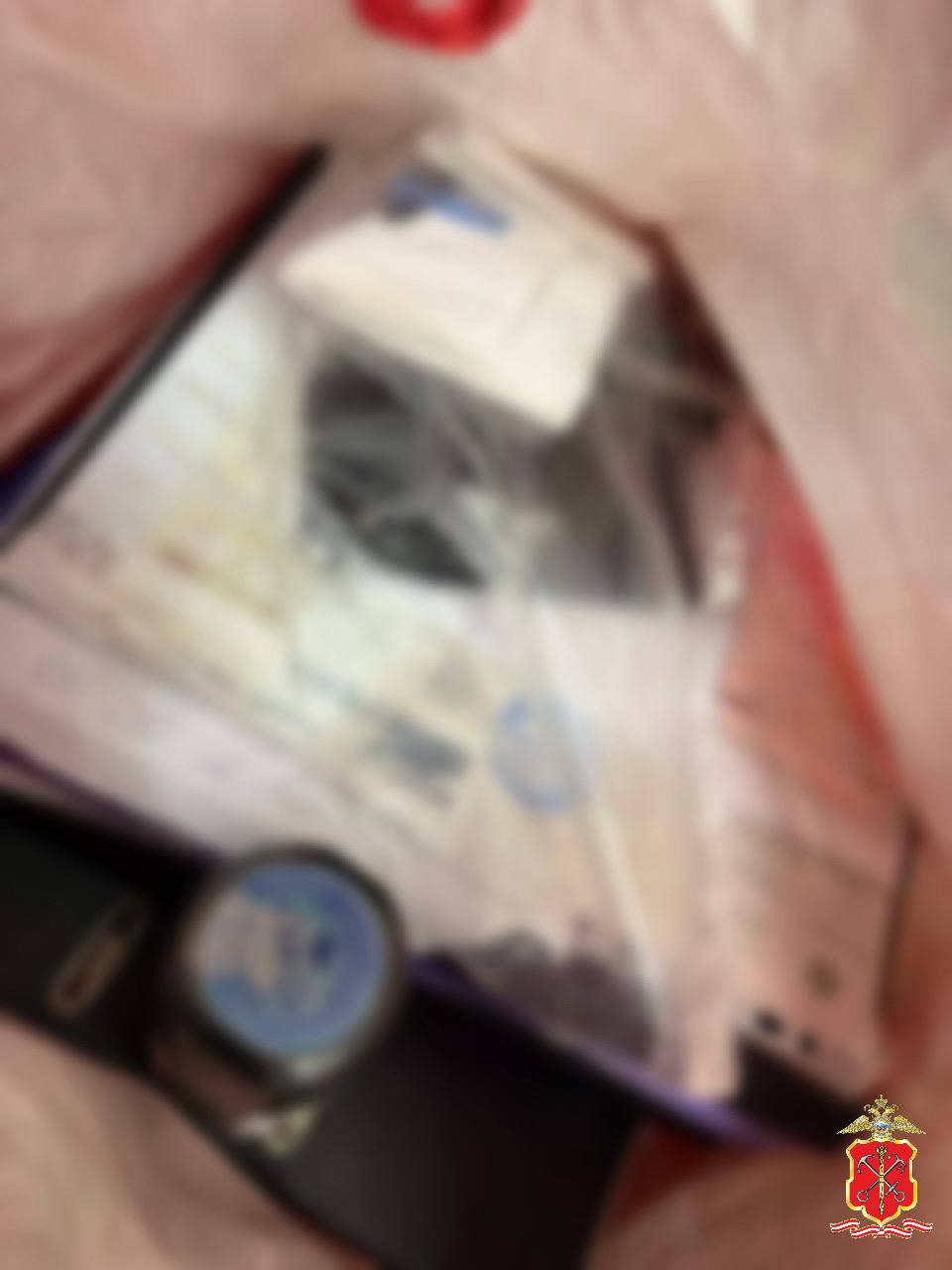 Полиция задержала теневых банкиров, перекрыв канал вывода денежных средств за рубеж Полиция задержала теневых банкиров, перекрыв канал вывода денежных средств за рубеж