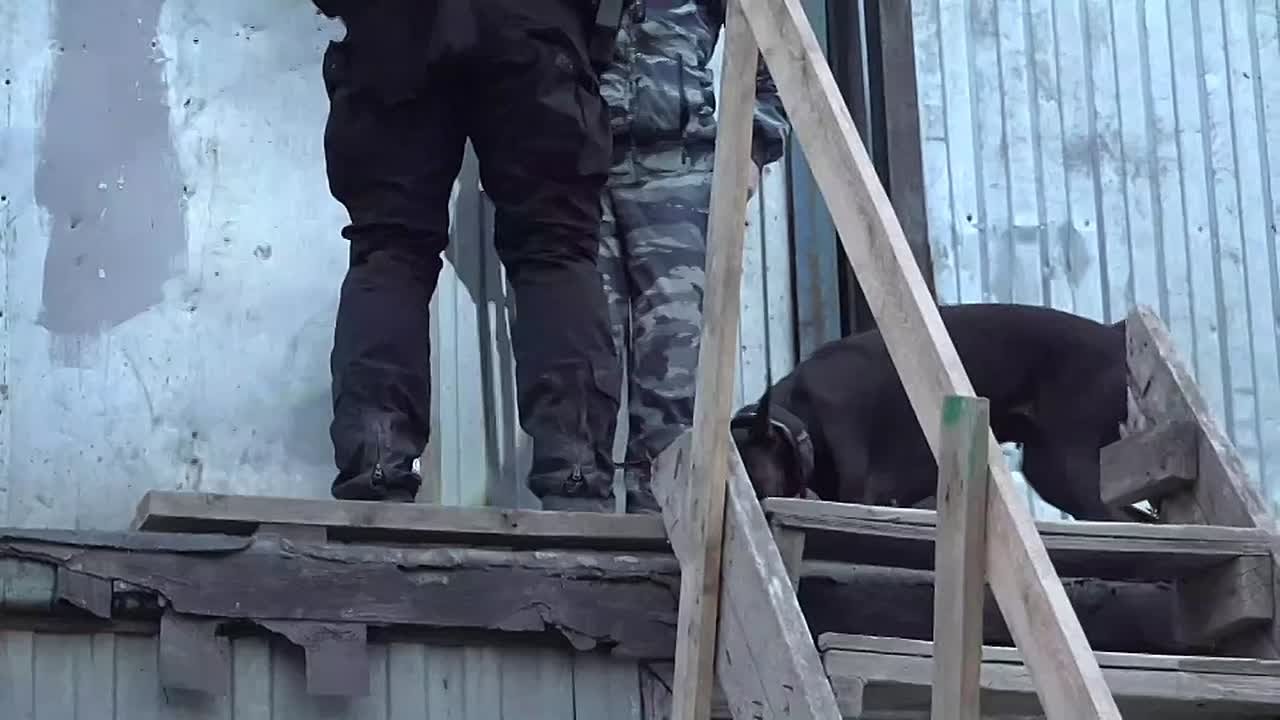 Полиция провела рейд в строительных городках в Шушарах