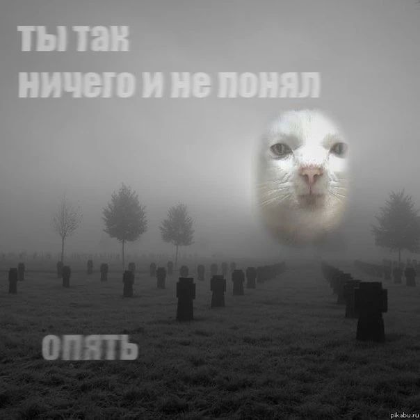 ������� ������: � ����������, ��������� ������������, ������� ����������� ������� ���������� ���������� ���� �������