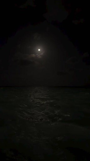 ��������� ����, ������!. ������