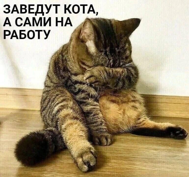 ������ ����������: ���� �� �� ���� ����� ���������� ���� ����!