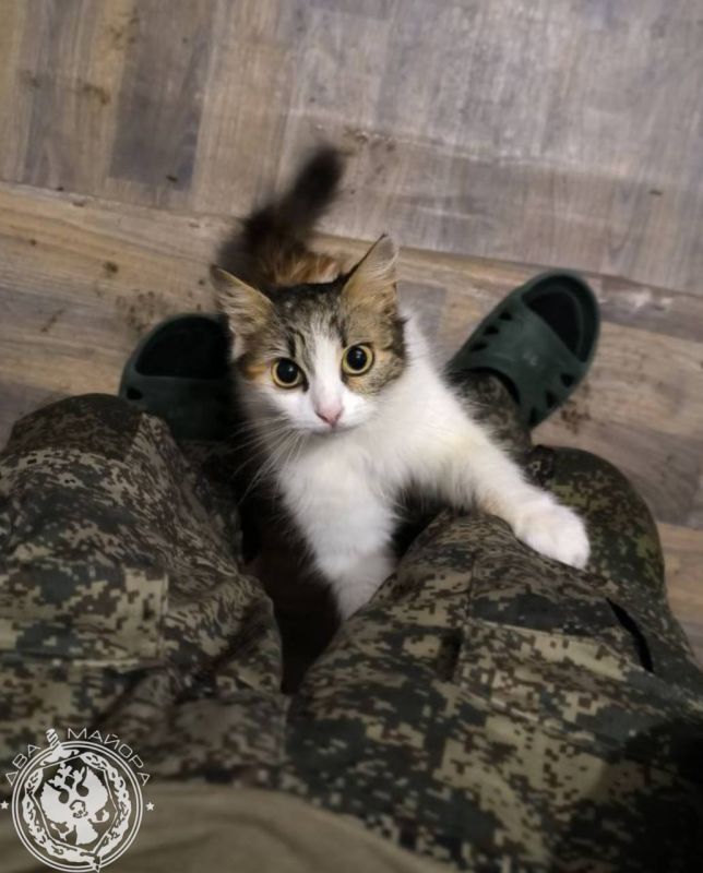 ��� ������: ������� ������ �������
