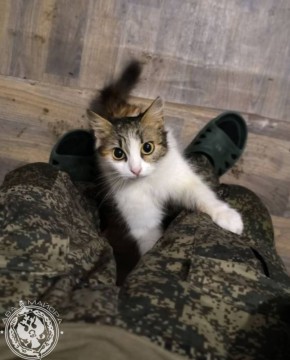 ��� ������: ������� ������ �������