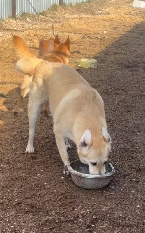 ���� ��������: ��� ����� ��� �� ������!. � ������ ����� ��������� ��������, �������� ����� �� ����! � ��������� ����� �� ��� ���������� ����� ����� �������