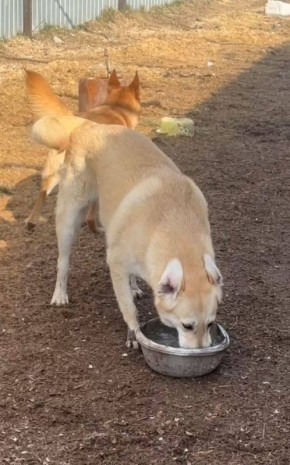 ���� ��������: ��� ����� ��� �� ������!. � ������ ����� ��������� ��������, �������� ����� �� ����! � ��������� ����� �� ��� ���������� ����� ����� �������