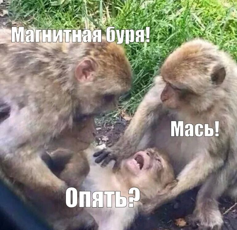 �������������� �������������