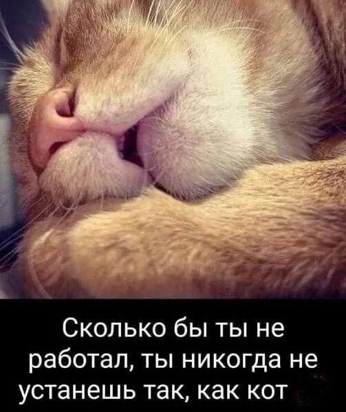 ������ ����������: ������� � �� �������� � ���� ������������