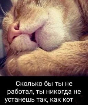 ������ ����������: ������� � �� �������� � ���� ������������