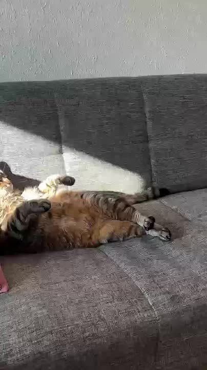 ���� ����� �� ������. ���� ������� ��������, ������!