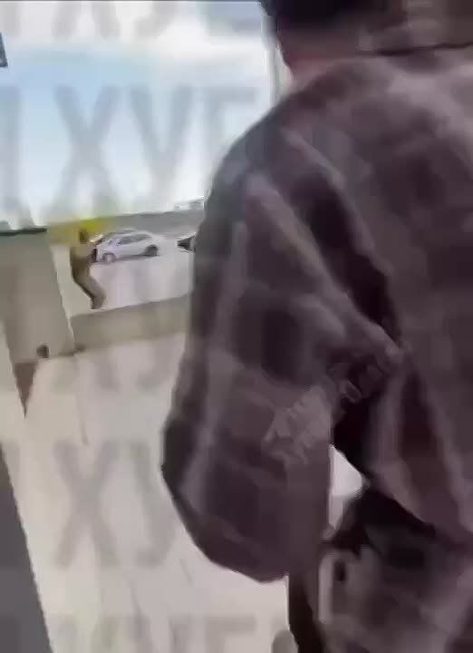 ������������ ����������� � ������ ������������