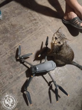 ��� ������: ������� ������ �������