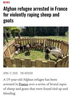 ������ ������: 19-������ ������� ��������� �� ��������� ���� � ���, �������� �� ����������, ���� ���������� �� �������