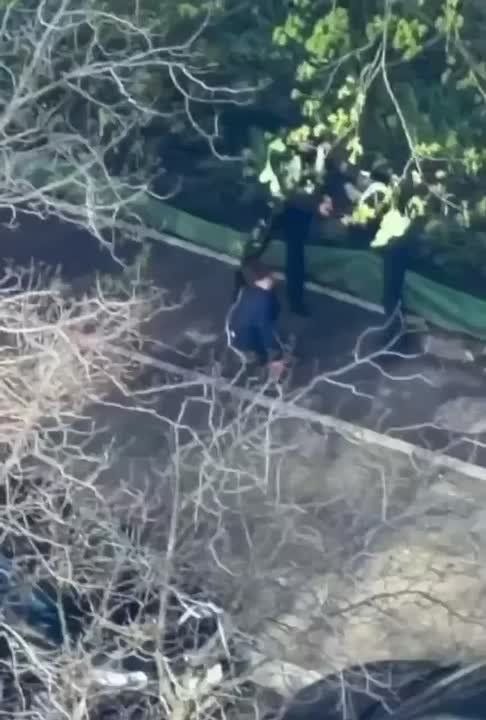 ���� ��������: ��� ��������, ��������� ������� ��� ������, ��� ��-�� ��������� �������� �������, ��������� �� ��������������� ����������� � ��������� � ��������� ������������������� �� ����� ���������� �������, ��������...