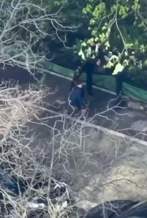 ���� ��������: ��� ��������, ��������� ������� ��� ������, ��� ��-�� ��������� �������� �������, ��������� �� ��������������� ����������� � ��������� � ��������� ������������������� �� ����� ���������� �������, ��������...