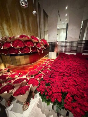 ���� ��������: ���������, �������. ������ ��� ������� �������� �������� ���� ����� � �������� �������� ����� ��������� �������