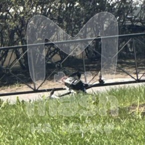 ��������� ������ � �������������� ������� ������������ ���������� ���� � ����� ������ ����� �� "��������� �������" � ������ ���������� ��������