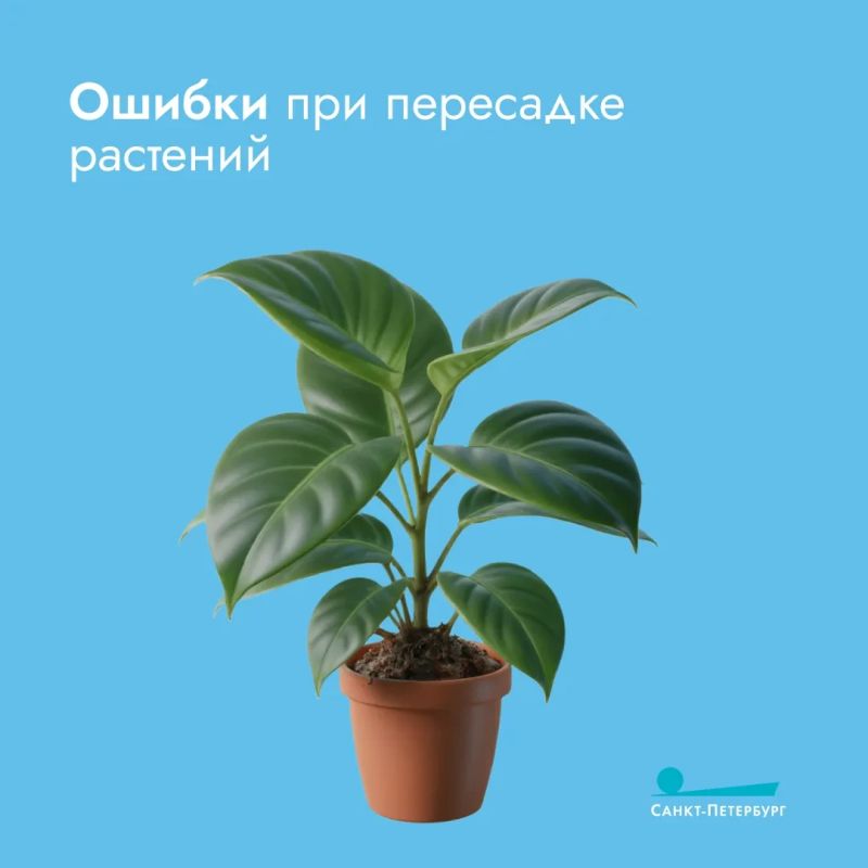 ������� ��������� ��������� ��������