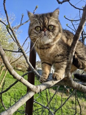 ����� ������ �������. �� ������ ���, ��������, �������� ���� �����