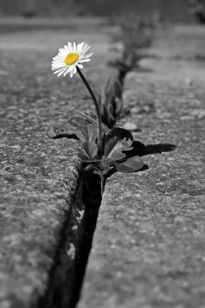 ���� ����: ����������� ������ ��� � ���� ���� ������� ������, ������� ���������� ��������, ���� ����� ������� ��� �� ����������