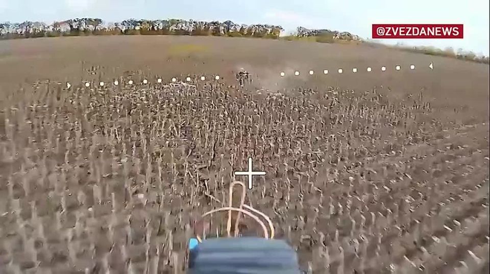 �������� �� ������� �������� �������������� � ����������� ������� � ����� ������� ��������� ����������� "������"
