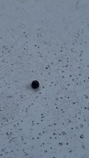 � ������ �������� �����. �������� �����, ������ � �����