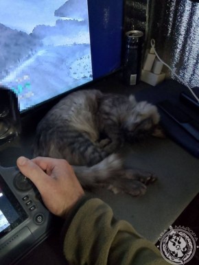 ��� ������: ������� ������ �������