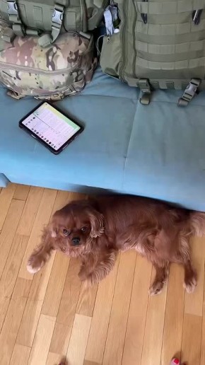 ���� ��������: ���������� ��������. ����� ������ ����� �� ���� ������ �� ���� �������