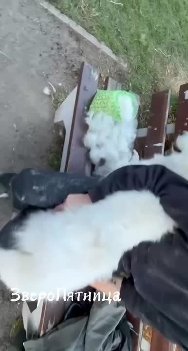 ��������� ����� ��������� ����� ���