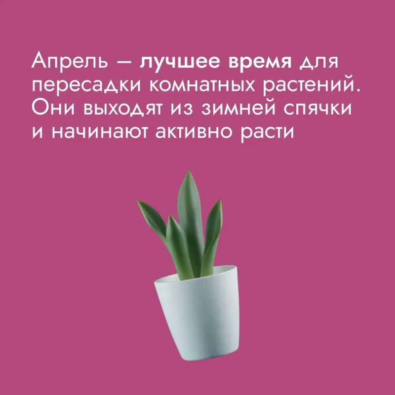 ������ � ����� ������� �����, ����� ������ ������������ �������� ��������