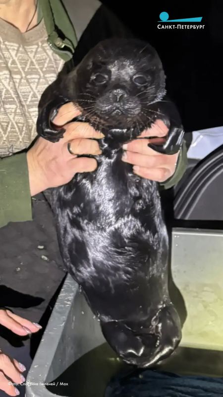 ��������� ��������� ����� � ������� �� ��� �������� ������������� ������