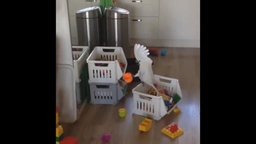 ���� ��������: �� ���������� ���� ������� ������ ������