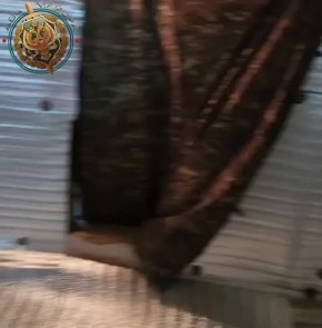 ��� ������: ���������������� �����������