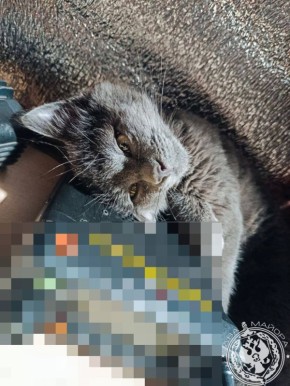 ��� ������: ������� ������ �������