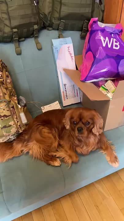 ���� ��������: ���������� ��������. ��������, �� ��������