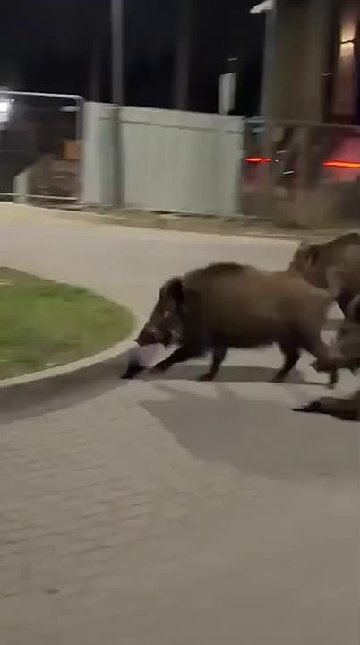 �������, ��� ������ ����� ������� ������ � ������ ����� �� �������
