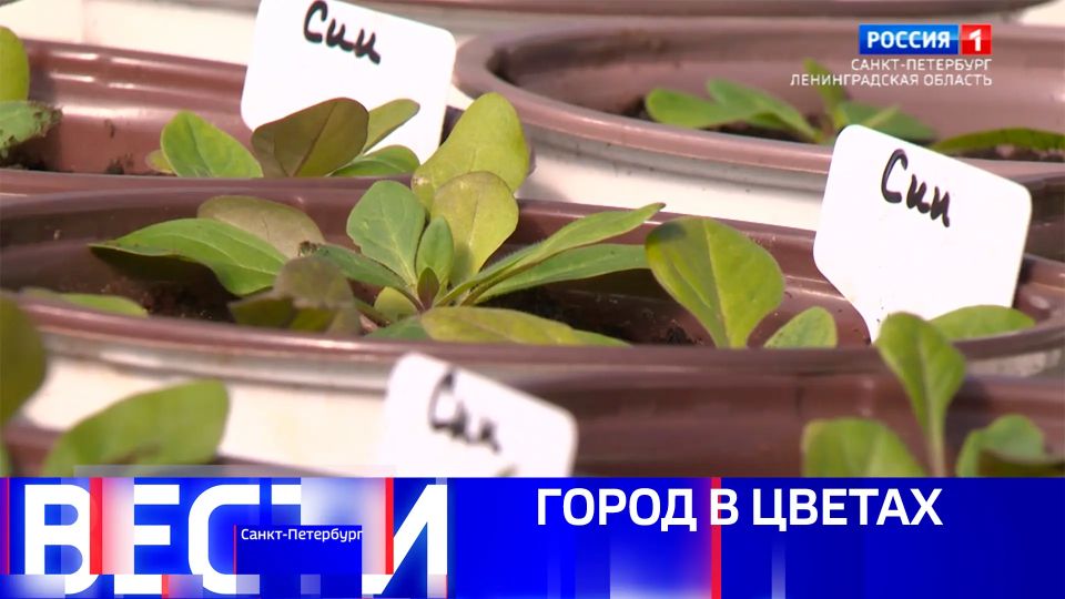 ����� �����-���������. ������ 21.10 �� 24.04.2026